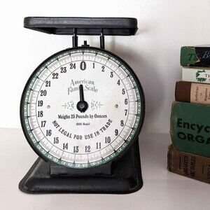 Vintage Rustic Black American Family Scale 25lb Model 1906 general store vintage
